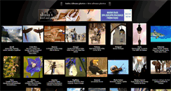 Desktop Screenshot of duanrevig.com